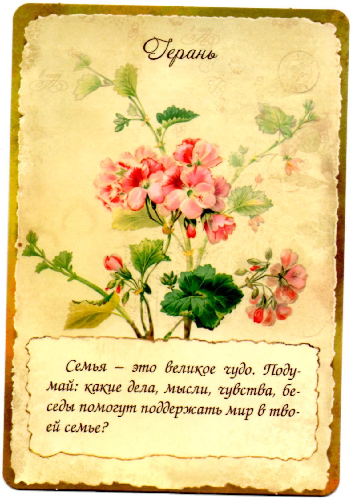 Хранительницы сада