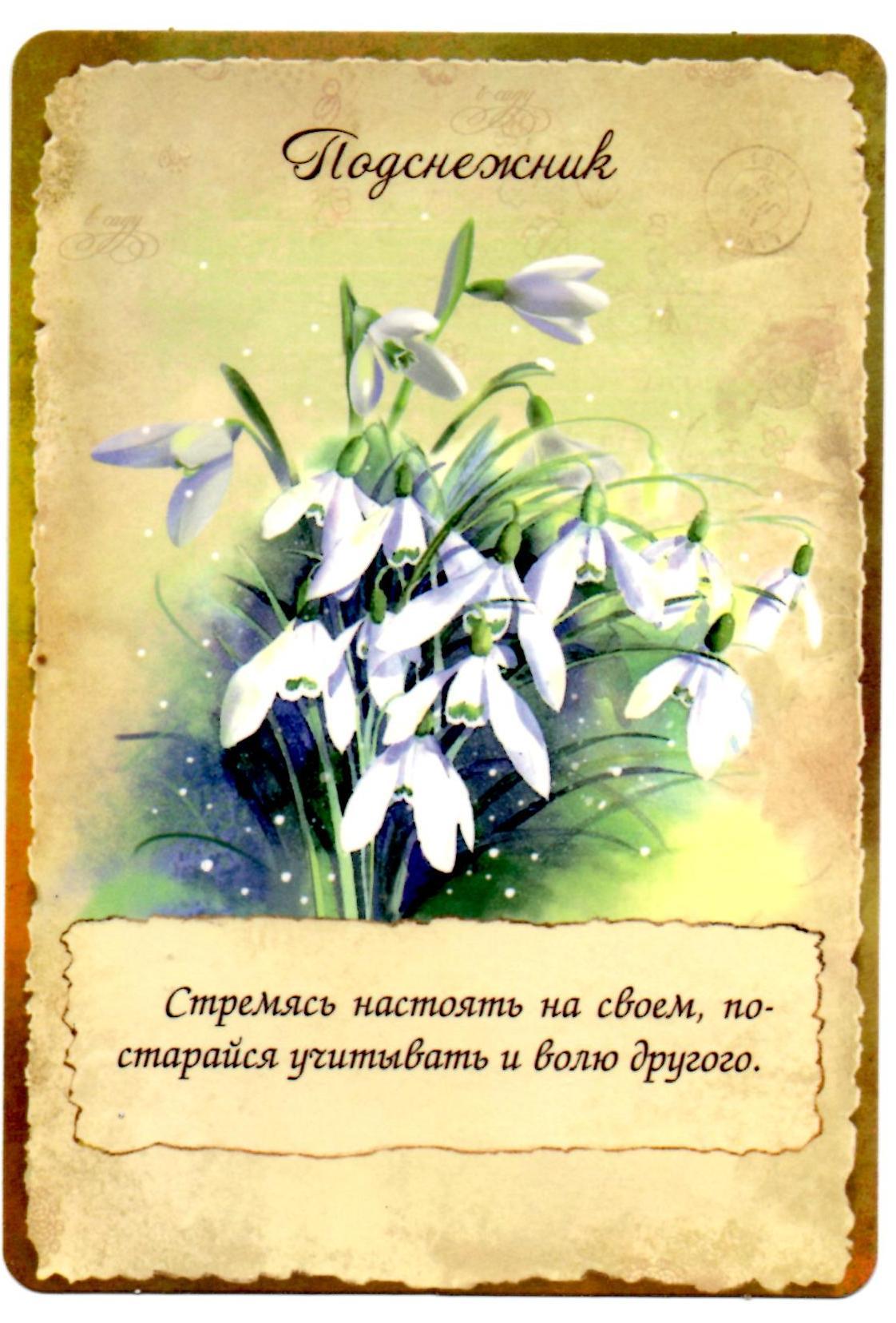 Хранительницы сада